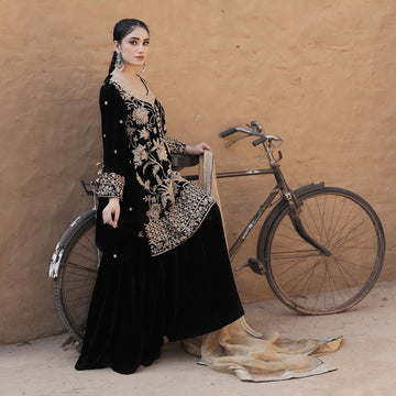 black Georgette hevy Embroidery