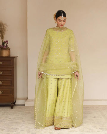 Organza suit pair